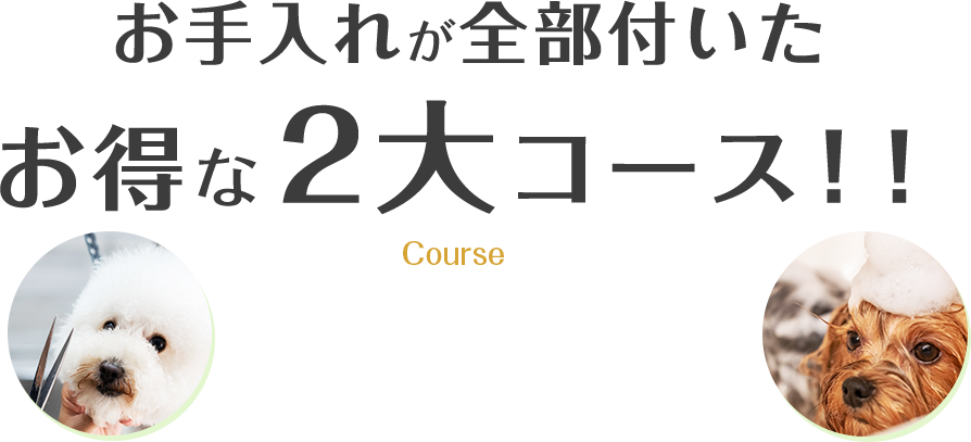 お手入れが全部付いたお得な２大コース！！